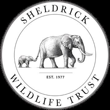 David Sheldrick Wildlife Trust